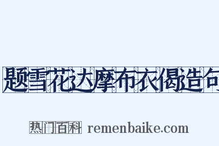 题雪花达摩布衣偈造句是什么意思的图片